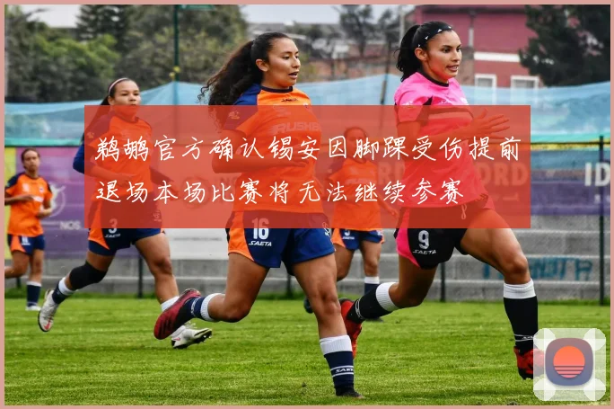 鹈鹕官方确认锡安因脚踝受伤提前退场本场比赛将无法继续参赛